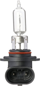 Phillips 9005MDC1 Fog Light Bulb