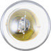 Phillips 93B2 Dome Light Bulb - Rear