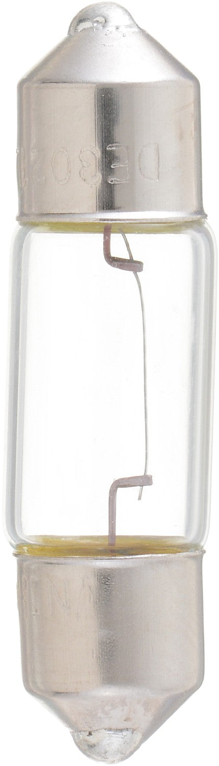 Phillips DE3021LLB2 Dome Light Bulb - Rear