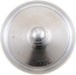 Phillips DE3175B2 Dome Light Bulb - Front or Rear
