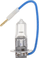 Phillips H3B1 Fog Light Bulb