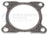 Professional Parts Sweden 25437203 Exhaust Pipe to Manifold Gasket