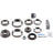 BGMG 10038952 Differential Rebuild Kit - Rear