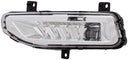 Dorman 1570026 Fog Light Assembly - Left