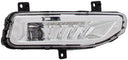 Dorman 1570027 Fog Light Assembly - Right