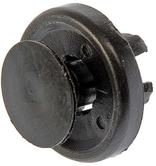 Dorman 700-078CD Radio Amplifier Retainer