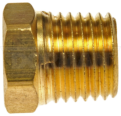 Dorman 785-422D Pipe Plug