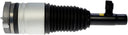 Dorman 949-464 Air Suspension Strut - Front Left