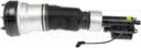 Dorman 949-982 Air Suspension Strut - Front Right