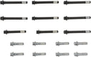 Victor Reinz 14-10048-01 Engine Cylinder Head Bolt Set
