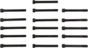 Victor Reinz 14-10056-01 Engine Cylinder Head Bolt Set