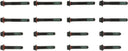 Victor Reinz 14-10064-01 Engine Cylinder Head Bolt Set