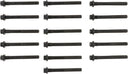 Victor Reinz 14-10102-01 Engine Cylinder Head Bolt Set