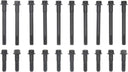 Victor Reinz 14-10108-01 Engine Cylinder Head Bolt Set