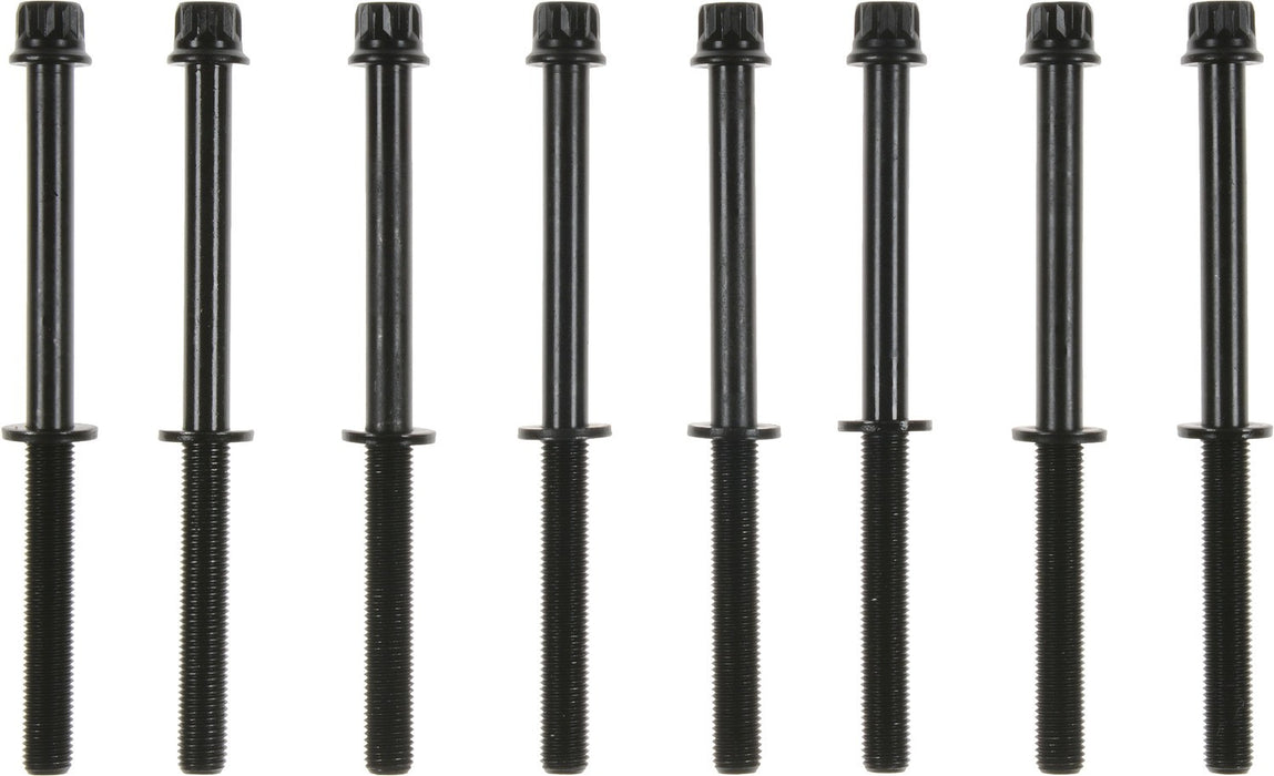 Victor Reinz 14-10143-01 Engine Cylinder Head Bolt Set