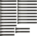 Victor Reinz 14-32032-02 Engine Cylinder Head Bolt Set