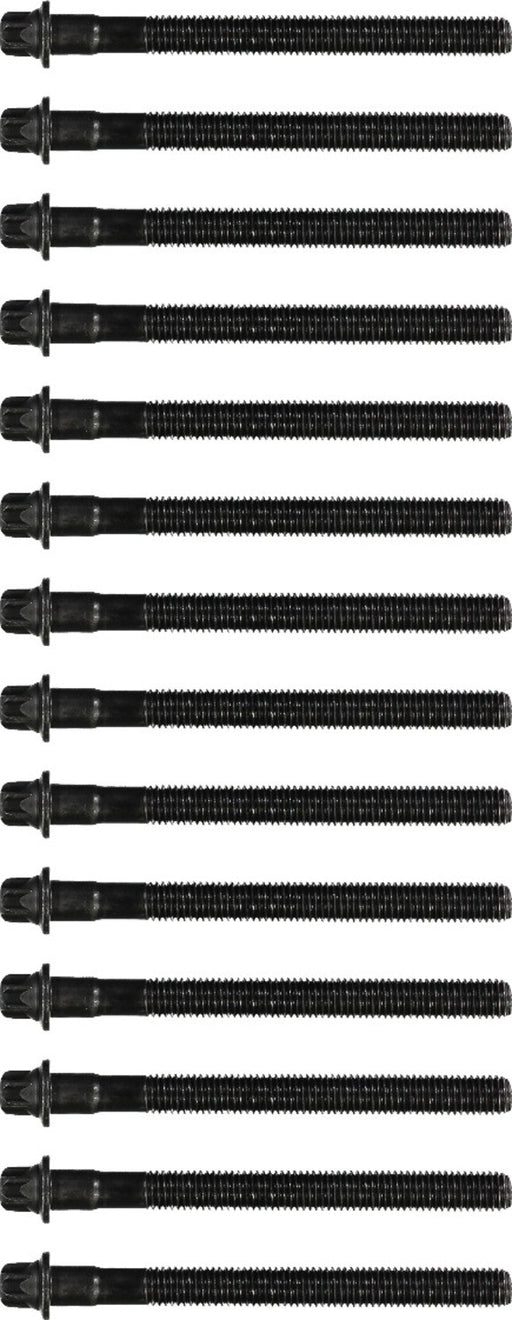 Victor Reinz 14-32101-01 Engine Cylinder Head Bolt Set
