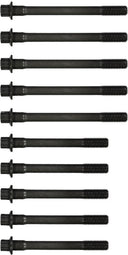 Victor Reinz 14-55002-01 Engine Cylinder Head Bolt Set