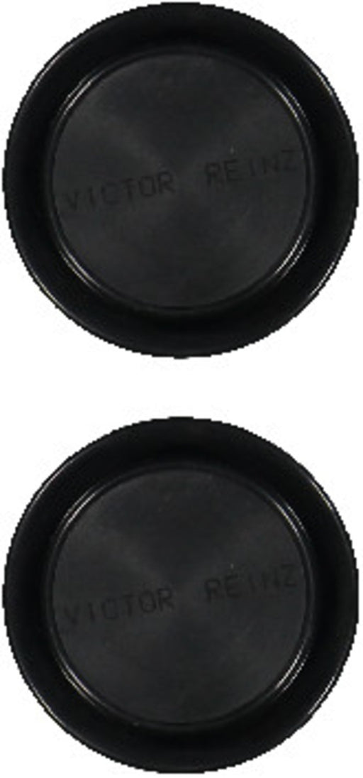 Victor Reinz 18-10187-01 Engine Circular Plug - Valve Cover