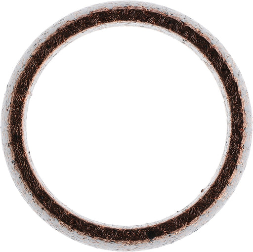 Victor Reinz 71-14317-00 Exhaust Pipe Flange Gasket - Front