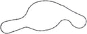 Victor Reinz 71-16064-00 Engine Water Pump Gasket - Inner