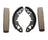 Raybestos 216PG Drum Brake Shoe - Rear