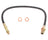 Raybestos BH36536 Brake Hydraulic Hose - Front