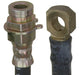 Raybestos BH36721 Brake Hydraulic Hose - Front