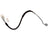 Raybestos BH384249 Brake Hydraulic Hose - Front Left