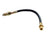 Raybestos BH38667 Brake Hydraulic Hose - Front