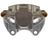 Raybestos RC11825PC Disc Brake Caliper - Rear Left