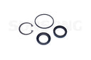 Sunsong 8401481 Steering Gear Pitman Shaft Seal Kit - Lower