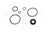 Sunsong 8401492 Power Steering Pump Seal Kit