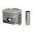 Sealed Power WH822CP Engine Piston