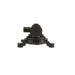 Standard Ignition CP521 Vapor Canister Purge Valve