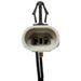 Standard Ignition LS-216 Back Up Light Switch