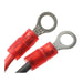Standard Ignition LX-809 Ignition Conversion Kit
