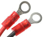 Standard Ignition LX-809 Ignition Conversion Kit