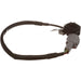 Standard Ignition PAC16 Park Assist Camera