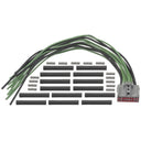 Standard Ignition S3034 Keyless Entry Module Connector