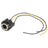 Standard Ignition S-65 Combination Light Socket