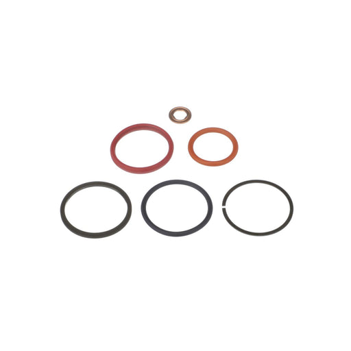 Standard Ignition SK55 Fuel Injector Seal Kit