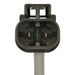 Standard Ignition VVT345 Engine Variable Valve Timing (VVT) Solenoid - Left