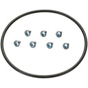 Spectra LO19 Fuel Pump Tank Seal