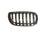 TechPro BM1200169 Grille - Right