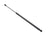 TechPro GM1237127 Hood Lift Support Assembly