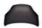 TechPro HO1230162C Hood Panel Assembly