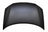 TechPro HO1230171C Hood Panel Assembly