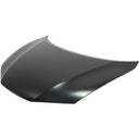 TechPro HO1230176C Hood Panel Assembly