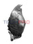 TechPro MB1249181C Fender Liner - Right